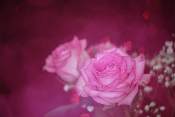 Soft Pink Rose on Red Bokeh Background