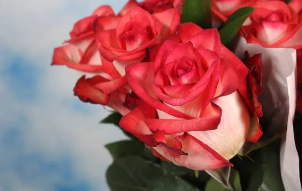 Rosa Rose Closeup Livre Casamento — Fotografia de Stock