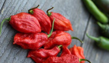 Kırsal tarım pazarında biberler, Jalapeno, Cayenne ve Bhut Jolokia