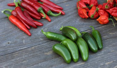 Kırsal tarım pazarında biberler, Jalapeno, Cayenne ve Bhut Jolokia