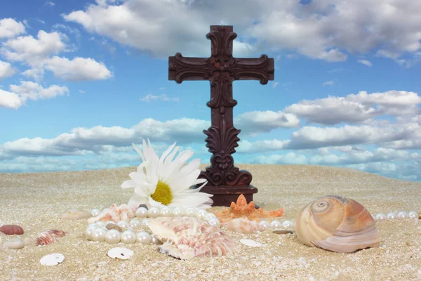 Coquilles Mer Avec Croix Sur Sable Peu Profond Dof Focus — Photo