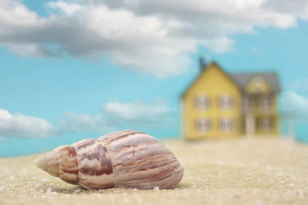 Beach Sea Shell și Beach House, Shallow DOF — Fotografie, imagine de stoc