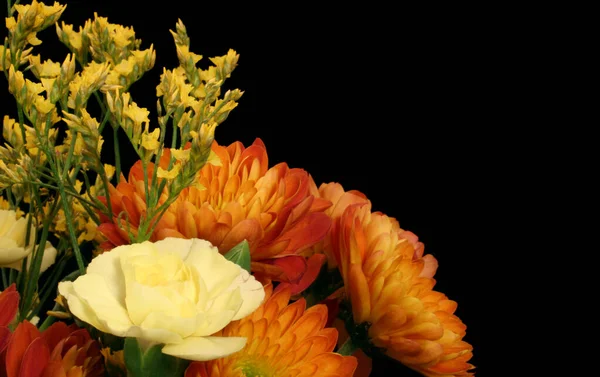 Herfst Bloemen Zwarte Achtergrond Met Ruimte Voor Tekst — Stockfoto