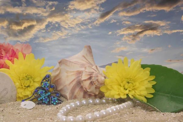 Blumen Und Muscheln Auf Sand Mit Sonnenuntergang Hintergrund — Stockfoto