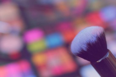 Parlak Renkli Kozmetik Pigment Paletleri ve Kozmetik Fırçaları