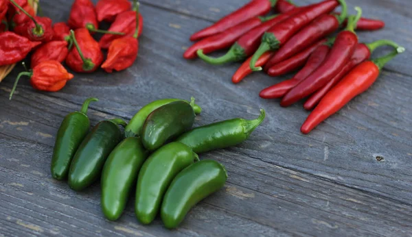 Kırsal tarım pazarında biberler, Jalapeno, Cayenne ve Bhut Jolokia