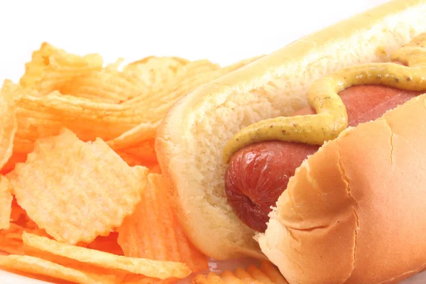 Cachorro Quente Com Mostarda Batata Frita — Fotografia de Stock