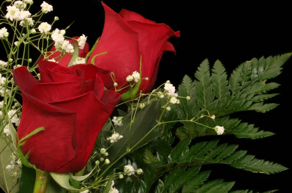 Rose Bouquet Fundo Preto Close — Fotografia de Stock