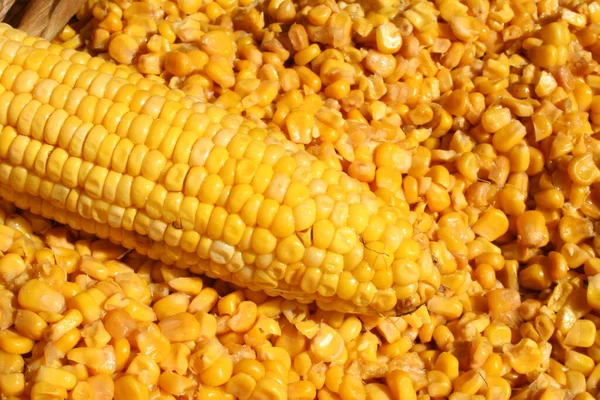 Fresh Roasted Yellow Corn County Fair — Stock Photo, Image