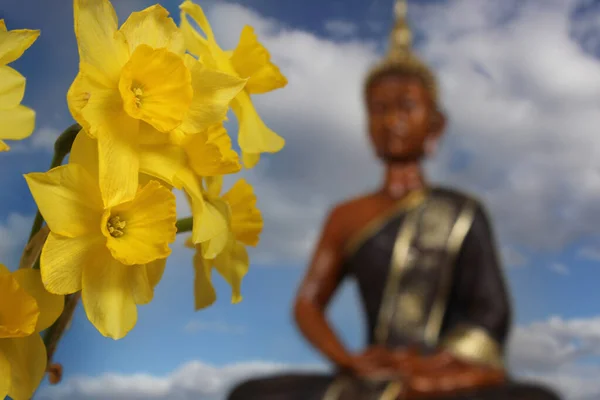 Narcisos Amarillos Con Estatua Buda Fondo Dof Poco Profundo —  Fotos de Stock