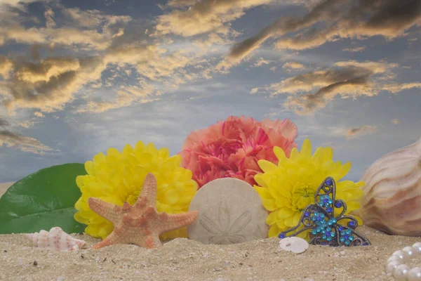 Günbatımlı Kum Üzerinde Çiçekler ve Deniz Kabukları