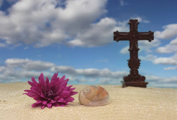 Coquilles Mer Avec Croix Sur Sable Peu Profond Dof Focus — Photo