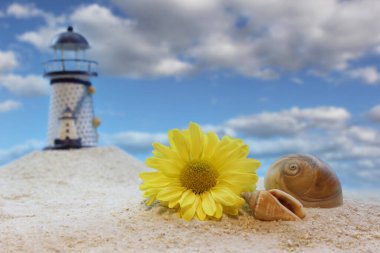 Sahilde Deniz Kabukları ve Çiçekler Arkaplanda Deniz feneri