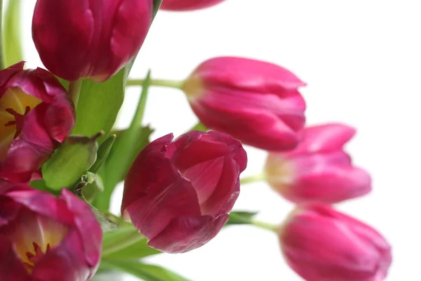 Boeket Roze Nederlandse Tulpen Geïsoleerd Wit — Stockfoto
