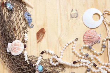 Ağaç Arkaplanda Balıkçılık Ağı ve Deniz Kabukları