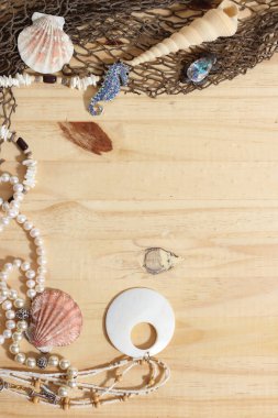 Ağaç Arkaplanda Balıkçılık Ağı ve Deniz Kabukları