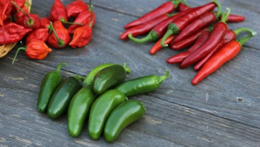 Kırsal tarım pazarında biberler, Jalapeno, Cayenne ve Bhut Jolokia