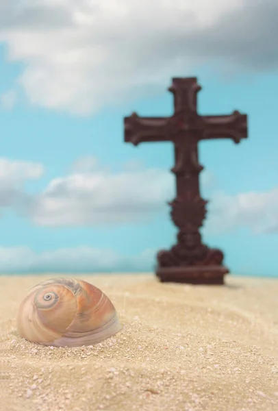 Coquilles Mer Avec Croix Sur Sable Peu Profond Dof Focus — Photo