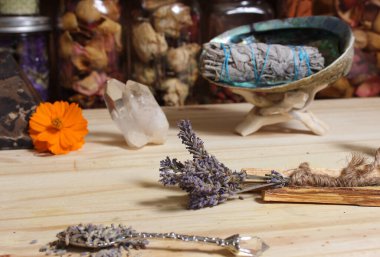 Palo Santo Wood 'lu kurutulmuş lavanta ve lekelenmiş deniz kulağı kabuğu.