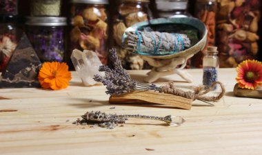 Palo Santo Wood 'lu kurutulmuş lavanta ve lekelenmiş deniz kulağı kabuğu.