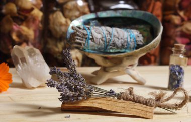 Palo Santo Wood 'lu kurutulmuş lavanta ve lekelenmiş deniz kulağı kabuğu.