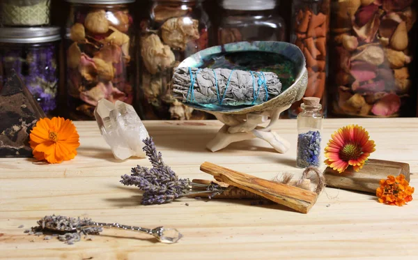 Palo Santo Wood 'lu kurutulmuş lavanta ve lekelenmiş deniz kulağı kabuğu.