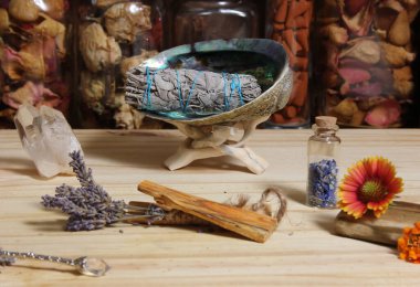 Palo Santo Wood 'lu kurutulmuş lavanta ve lekelenmiş deniz kulağı kabuğu.