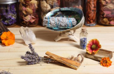 Palo Santo Wood 'lu kurutulmuş lavanta ve lekelenmiş deniz kulağı kabuğu.