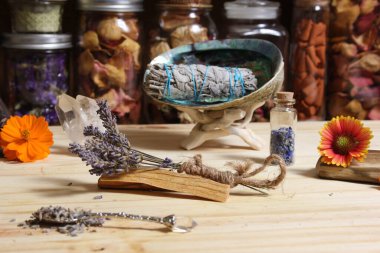 Palo Santo Wood 'lu kurutulmuş lavanta ve lekelenmiş deniz kulağı kabuğu.