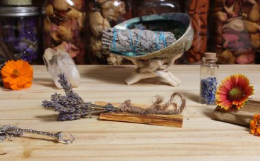 Palo Santo Wood 'lu kurutulmuş lavanta ve lekelenmiş deniz kulağı kabuğu.