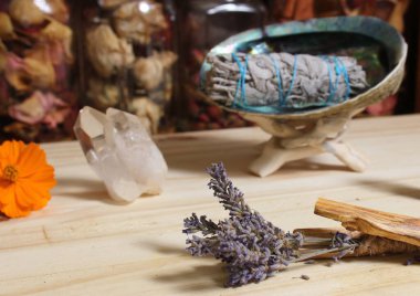 Palo Santo Wood 'lu kurutulmuş lavanta ve lekelenmiş deniz kulağı kabuğu.