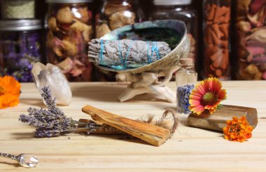 Palo Santo Wood 'lu kurutulmuş lavanta ve lekelenmiş deniz kulağı kabuğu.
