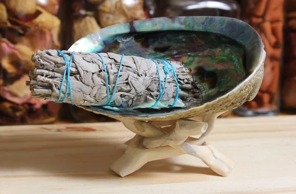Abalone Shell With Sage Bundle Incense For Cleansing and Purification