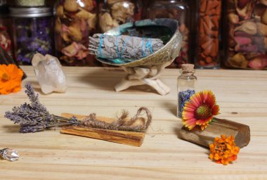 Palo Santo Wood 'lu kurutulmuş lavanta ve lekelenmiş deniz kulağı kabuğu.