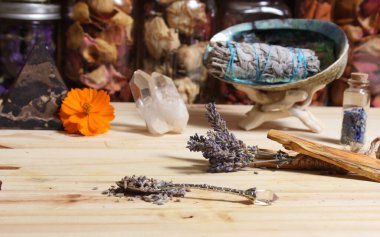 Palo Santo Wood 'lu kurutulmuş lavanta ve lekelenmiş deniz kulağı kabuğu.