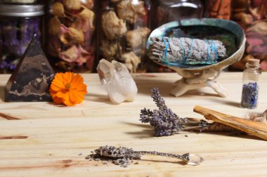 Palo Santo Wood 'lu kurutulmuş lavanta ve lekelenmiş deniz kulağı kabuğu.