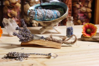 Palo Santo Wood 'lu kurutulmuş lavanta ve lekelenmiş deniz kulağı kabuğu.