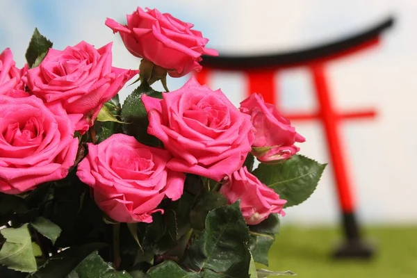 Pink Roses Closeup Torii Gate Background Shallow Dof — Fotografia de Stock