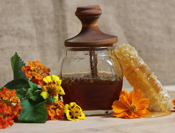 Madu Segar Dengan Honeycomb Dan Bunga Kuning Dapur Rustik — Stok Foto