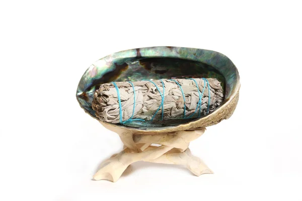 Abalone Shell With Sage Incense For Cleansing and Purification Isolated on White Background