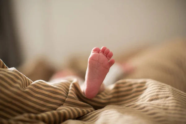 一个可爱的新生儿脚踏在褐色米黄色的毛毯上躺在床上 背景模糊不清 — 图库照片