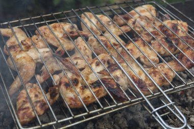 bbq tavuk kanatları ızgara ızgara ızgara ızgara ızgara ızgara ızgara ve ateşte pişirme ve bir barbekü brazier duman