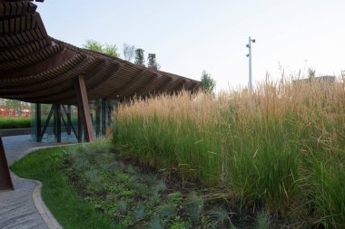 Moskova, Rusya - 08.08.2021 Corten çelik pergola, yürüyüş yolu, yeşil çimenler, çiçekler. Tyufeleva Roshcha Parkı, Zilart. ! melk peyzaj mimarisi şehir tasarımı