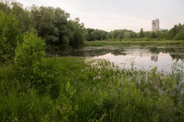 Göllü güzel doğa, yeşil ağaçlar yapraklar, çimenler ve arka planda bulutlar. Öğleden sonra Pokrovskoe Streshnevo şehir parkındaki manzara manzarası, Moskova, Rusya