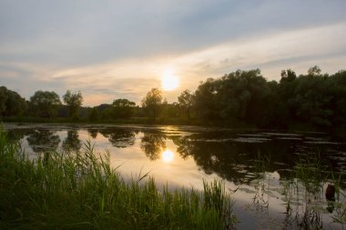 Göllü güzel doğa, yeşil ağaçlar yapraklar, çimenler ve arka planda bulutlar. Öğleden sonra Pokrovskoe Streshnevo şehir parkındaki manzara manzarası, Moskova, Rusya
