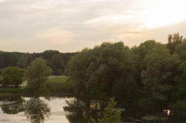 Göllü güzel doğa, yeşil ağaçlar yapraklar, çimenler ve arka planda bulutlar. Öğleden sonra Pokrovskoe Streshnevo şehir parkındaki manzara manzarası, Moskova, Rusya