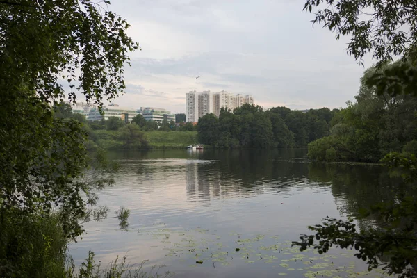 Beautiful Nature Pond Lake Green Trees Foliage Grass Clouds Background — Stock Photo, Image