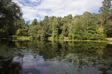Göl göleti yeşil yapraklı ağaçlarla çevrili. Serebryany Bor 'daki (Gümüş Pinewood) manzara manzarası. Khoroshevskoye, Moskova, Rusya