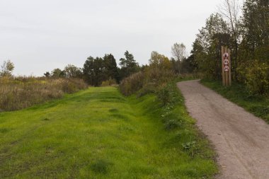 Köpeksiz, barbeküsüz, motosikletsiz, uyarı levhasız bir çayır yolunda patika yolu. Meshersky Orman Parkı. Moskova, Rusya