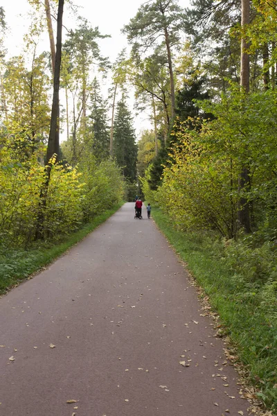 Kobieta Synem Wózkiem Spaceru Ścieżce Asfaltowej Ścieżki Lesie Zieloną Trawą — Zdjęcie stockowe